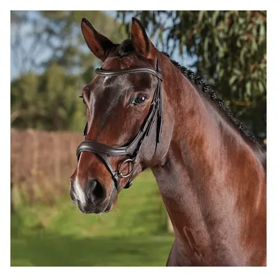 Anatomical riding bridles Weatherbeeta Collegiate Comfitec Vogue