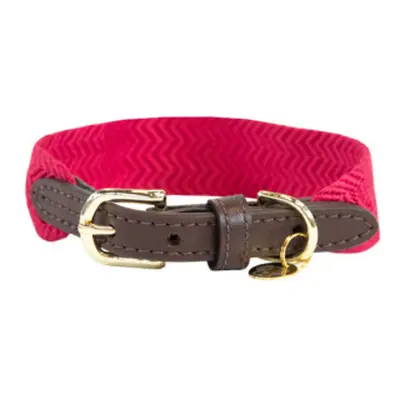 Dog collar Kentucky Jacquard