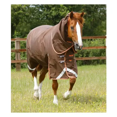 Outdoor horse blanket with neck cover Premier Equine Titan 300 g