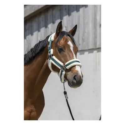 Halter for horse Norton Cosy