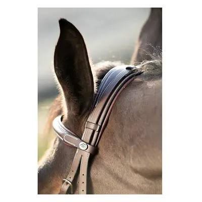 Riding bridles HFI Technical