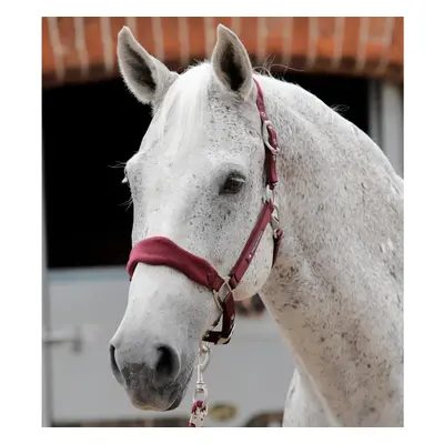 Fleece padded Halter Premier Equine