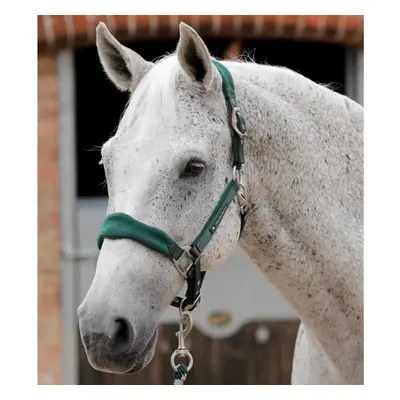 Fleece Padded Halter Premier Equine