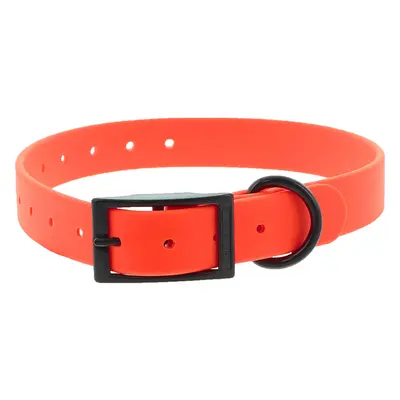 Double buckle dog collar Canihunt Ctech 2