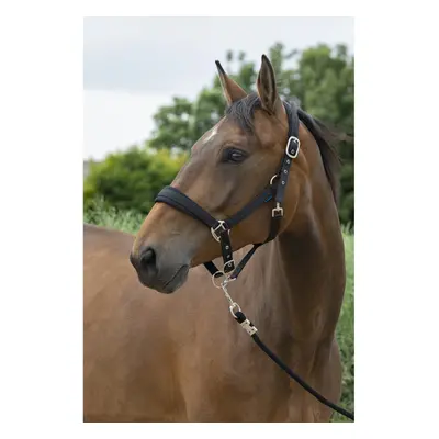 Halter and lead rope set for large horses Norton