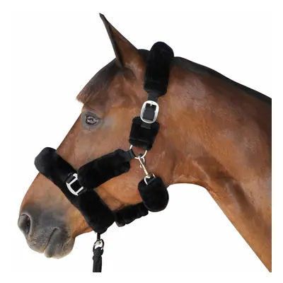 Halter for horse transport Canter