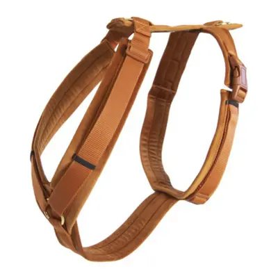 Active dog harness Kentucky Velvet