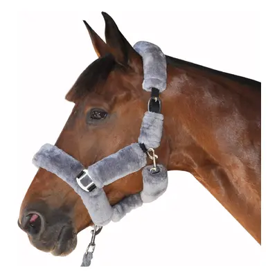 Halter for horse transport Canter