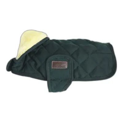 Dog coat Kentucky Original 160g