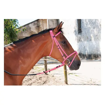 Bridles T de T Biotack®