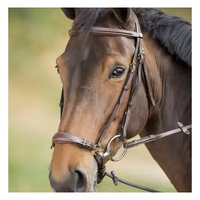 Riding bridles HFI German