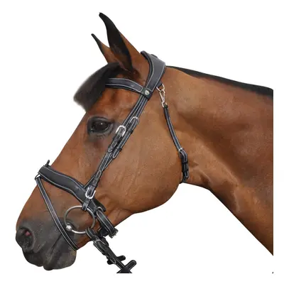 Combined riding bridles Flags&Cup Comfort