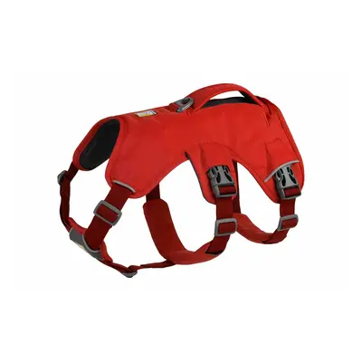 Dog harness Ruffwear Web Master