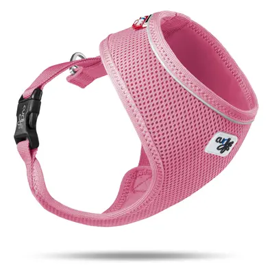 Basic dog harness Curli