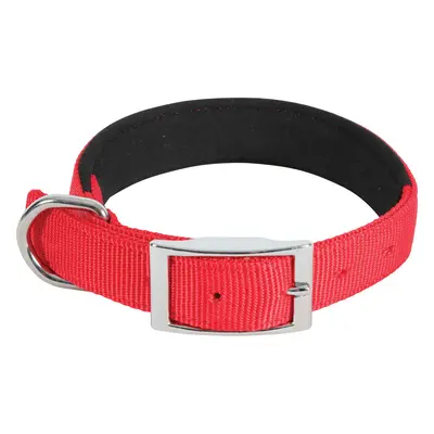 Dog collar Zolux