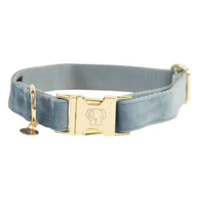 Dog collar Kentucky Velvet