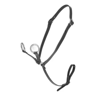 Pony martingale LeMieux