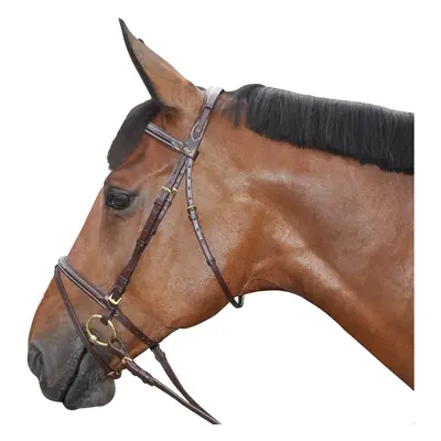 Combined riding bridles with stitching Canter