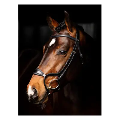 Adjustable anatomical noseband equestrian bridle LeMieux Arika