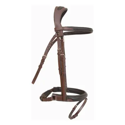 Riding bridles T de T Lautrec