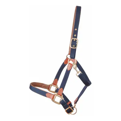 Leather halter for horse and strap T de T