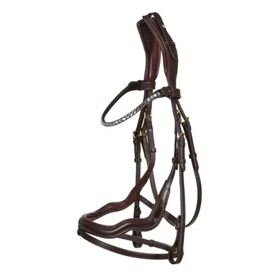 Bridles Catago Sienna jumping