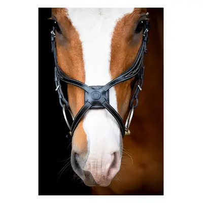 Vegan leather riding bridles Montar Lyon Fig 8 Jumping ECO