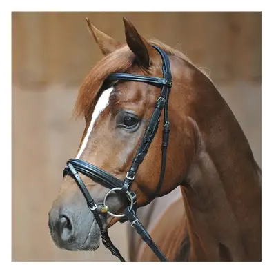 Riding bridles Kavalkade Ravenna