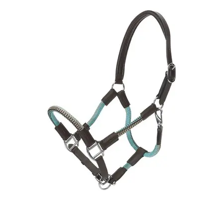 Halter for horse in reins Kavalkade Cavo