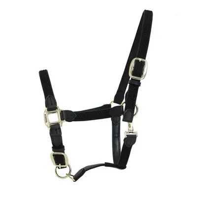 Halter for horse nylon braided Kentucky