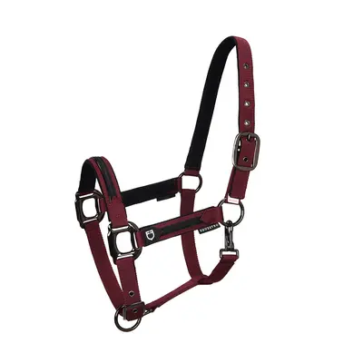 Nylon halter and lead rope set for horse Equestro