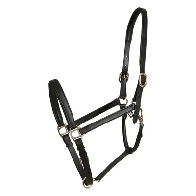 Leather horse halter HorseGuard Sabine