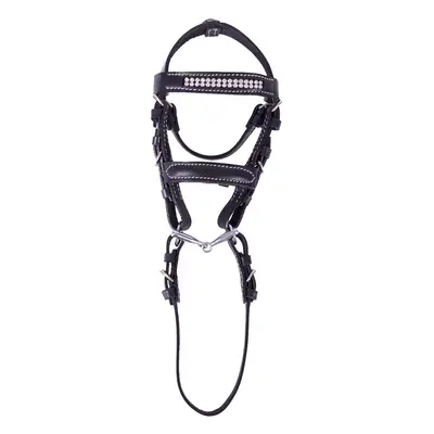 Mini decorative riding bridles QHP Madelon