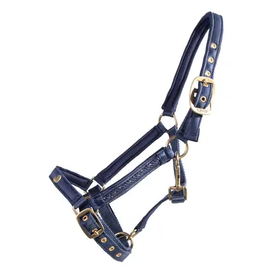 Halter for foal QHP Lily