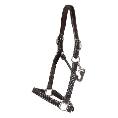 Braided leather halter for horse Dy’on