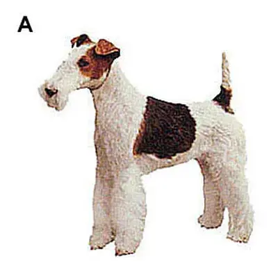 Stickers Difac Fox Terrier (x4)