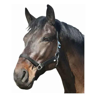 Nylon horse halter HorseGuard