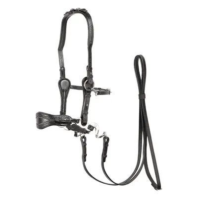 Bridles Edix Saddles ED4- Jazz