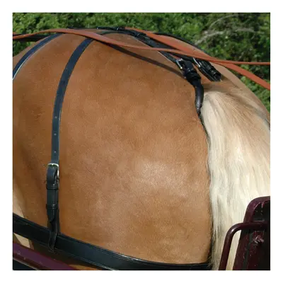 Harness crupper for horse Chetak