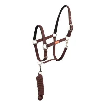 Halter and lead rope set for horse Premiere Equitation