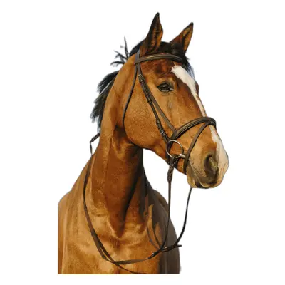 Combined double noseband bridle Riding World