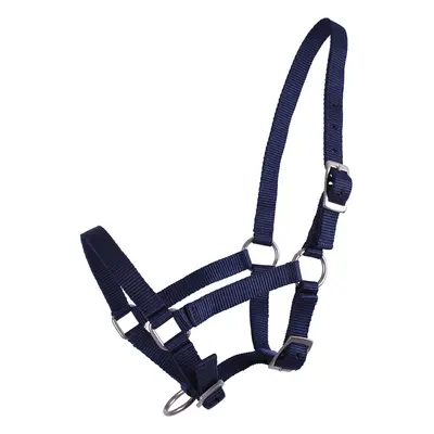 Halter for foal QHP