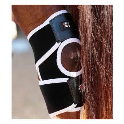 Magnetic knee protectors for horses Premier Equine Magni-Teque