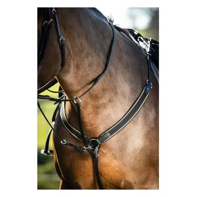 Elastic hunting collar for horse HFI