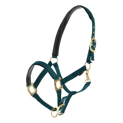 Halter for horse Covalliero TopLine