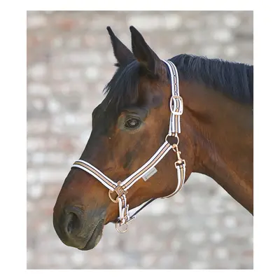 Horse halter Waldhausen Shine