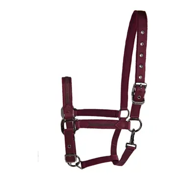 Halter for horse Lami-Cell Sparkling