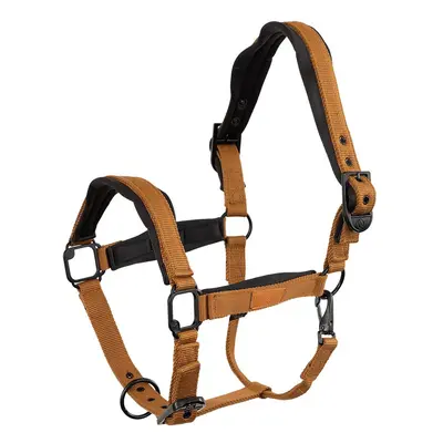 Halter BR Equitation Fedde