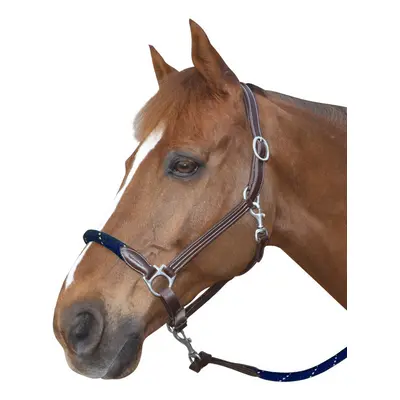 Leather halter for horse with reins Canter