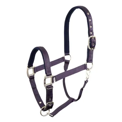 Halter for horse BR Equitation Event